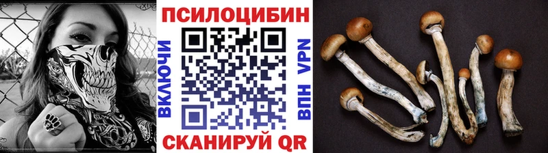 Галлюциногенные грибы прущие грибы  Купить закладки  Суджа 