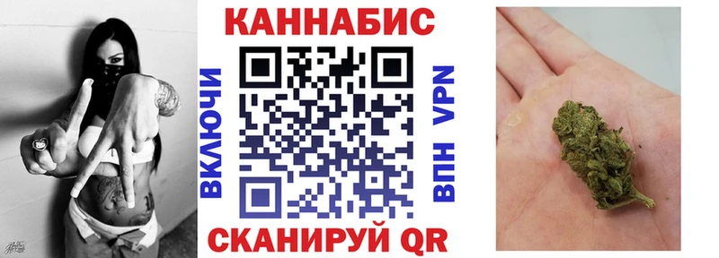 Бошки марихуана Amnesia  Купить где  Суджа 